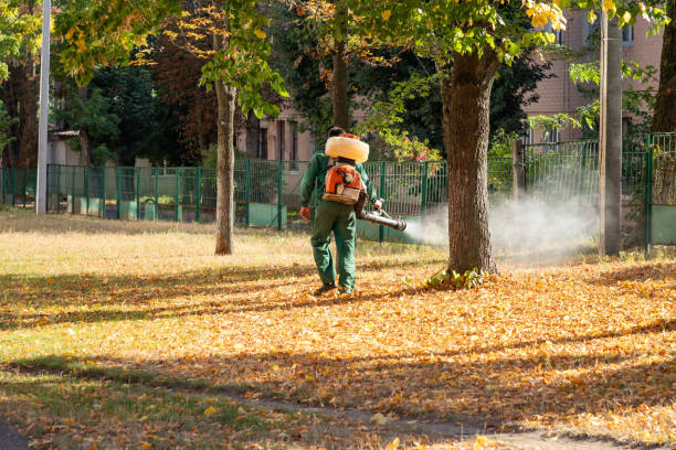 Best Residential Pest Control  in Excelsior, MN